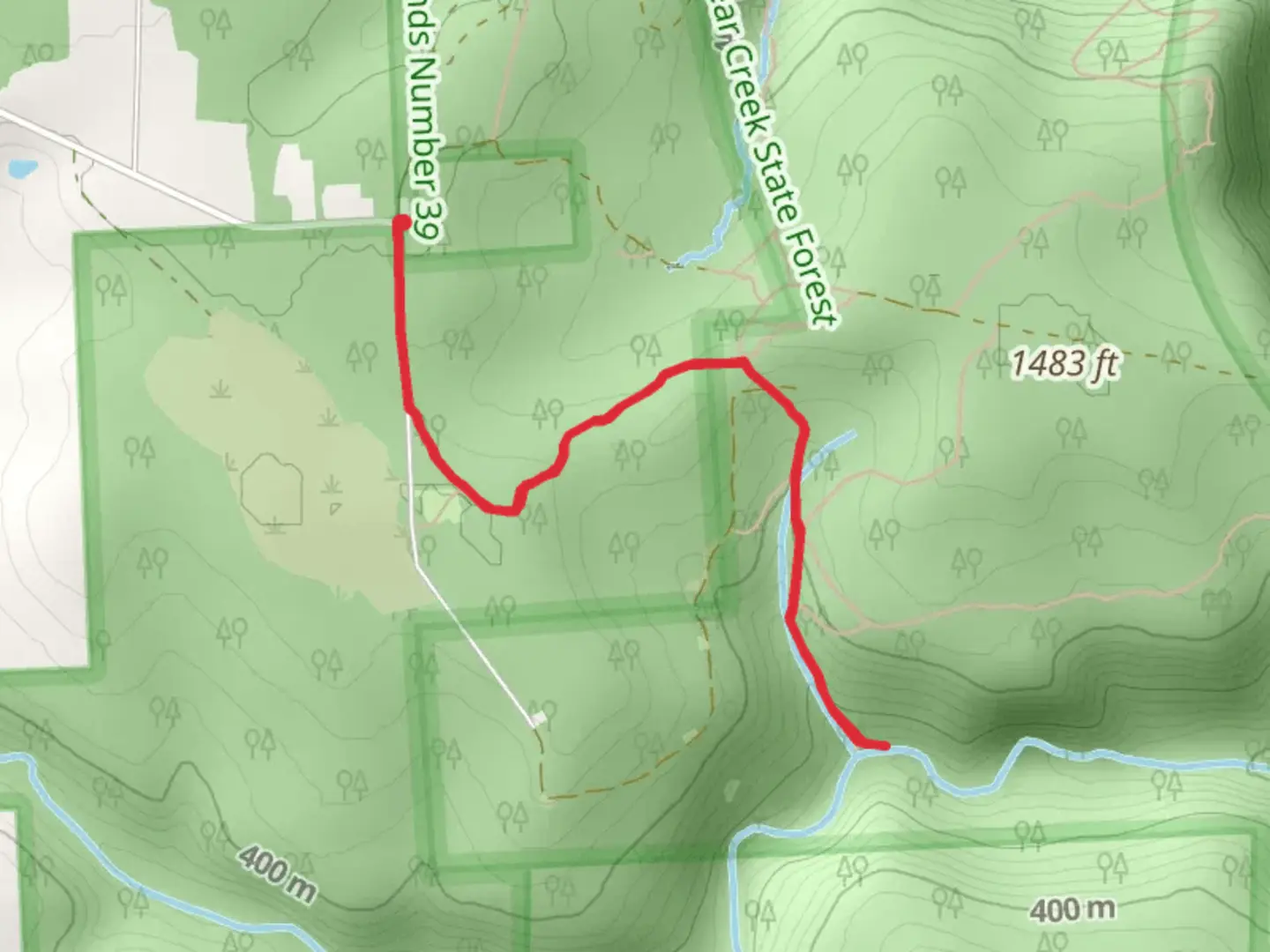 An image depicting the trail Bullion Run from Dewoody Road and its surrounding area.