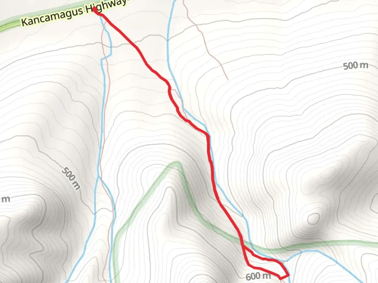 An image depicting the trail Champney Brook Out and Back and its surrounding area.