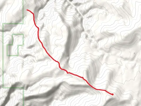 Mexican Hill