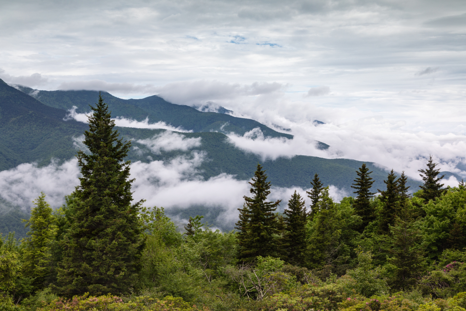 An image depicting the trail Snooks Nose Trail and its surrounding area.