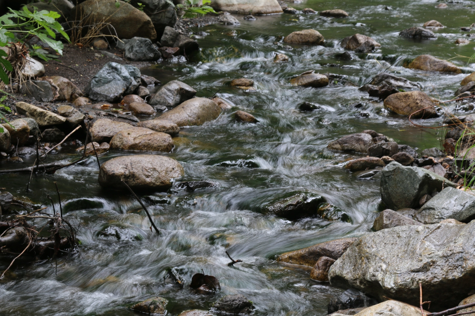An image depicting the trail Trabuco Creek Trail and its surrounding area.