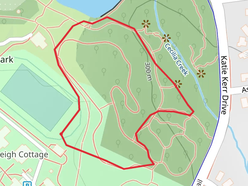 Cecilia Creek Loop