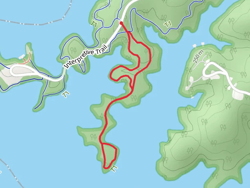Chestnut Ridge Trail Loop