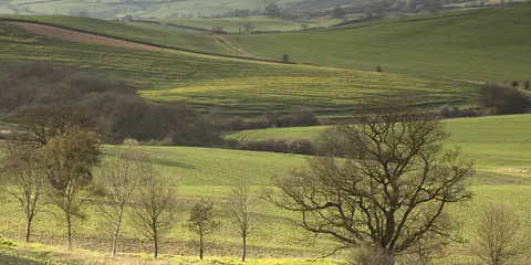 Rolleston - Skeffington and Tilton from Billesdon