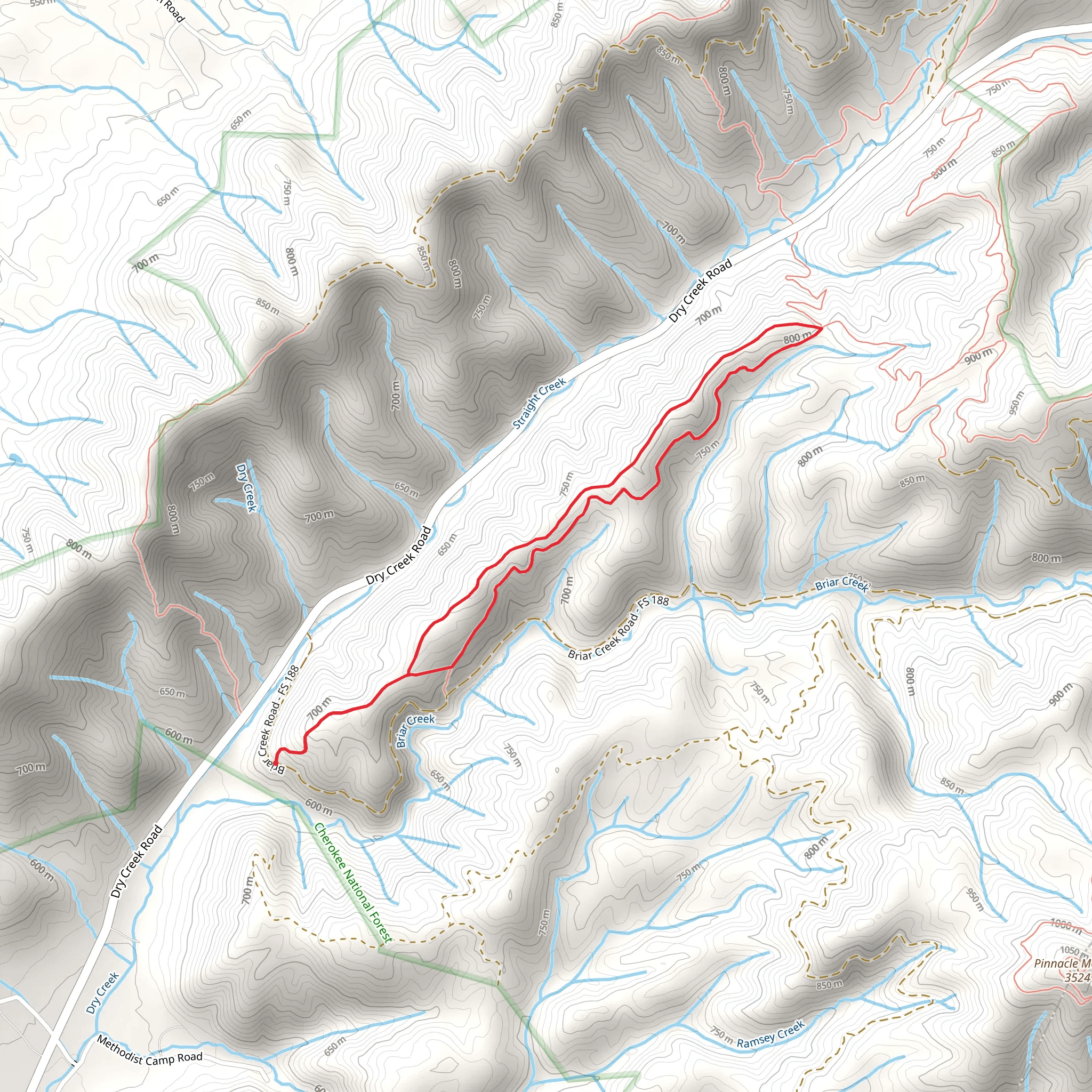Rustic Ridge and Church Loop Trail mobile static map