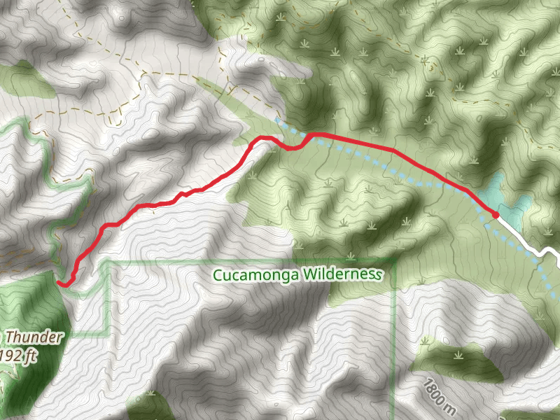 Cold Water Canyon Road Walk