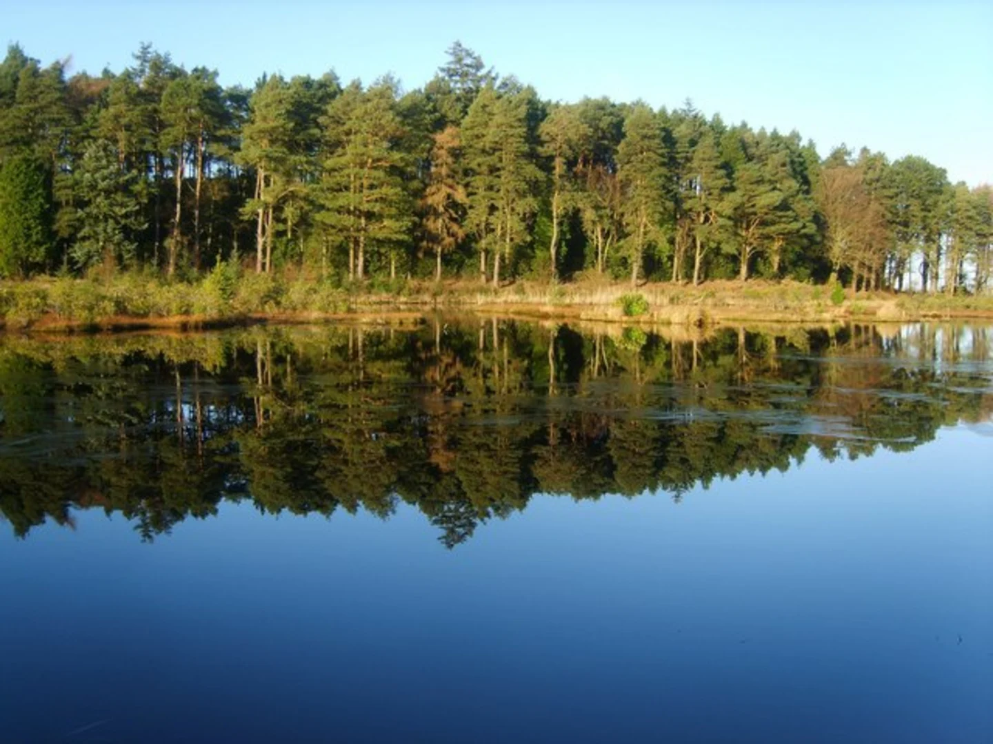 An image depicting the trail Muncaster Tarn, Hooker Crag and Muncaster Fell Loop and its surrounding area.