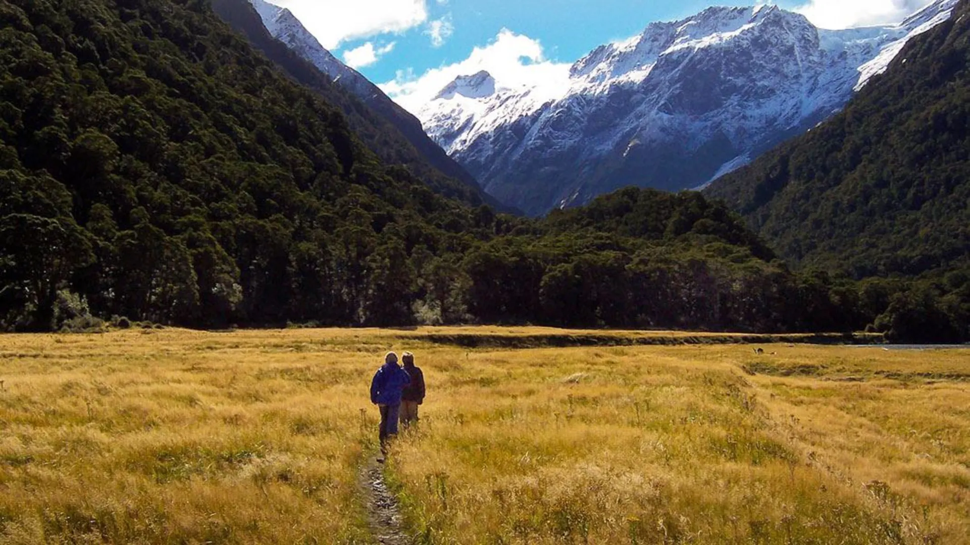 An image depicting the trail Pearl Flat to Head of the Valley and its surrounding area.