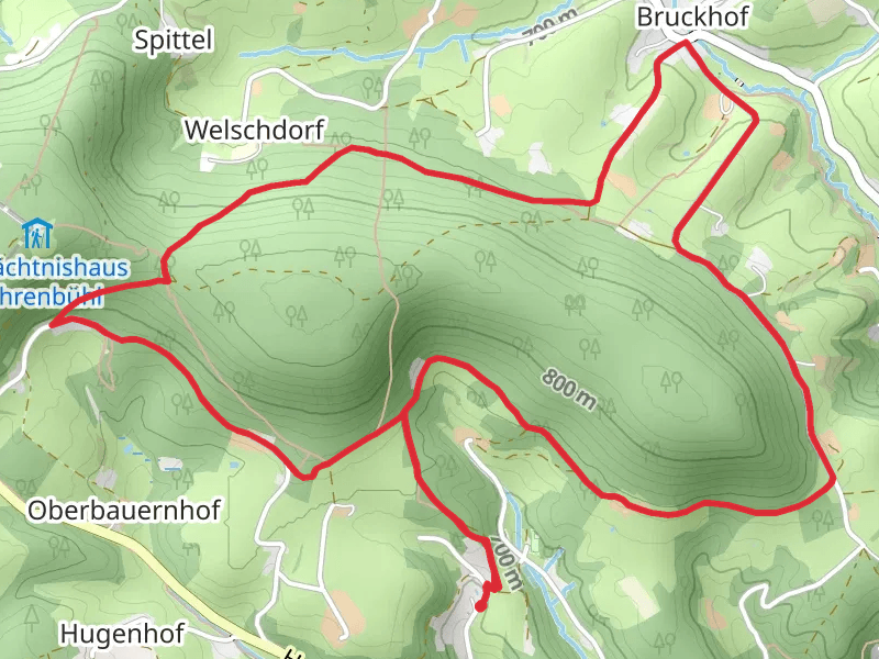 Hohenreutewald Loop - Bruckhof