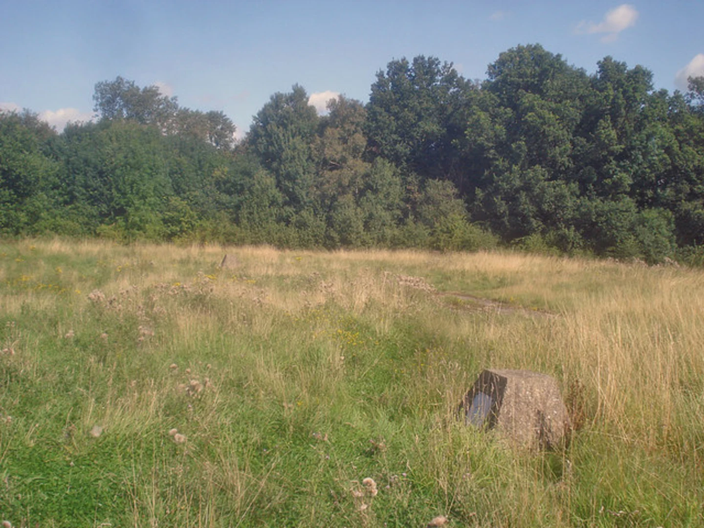An image depicting the trail Willesley Wood and Thortit Lake loop and its surrounding area.