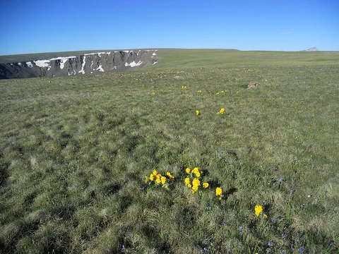North Calf Creek via Powderhorn Park Trail
