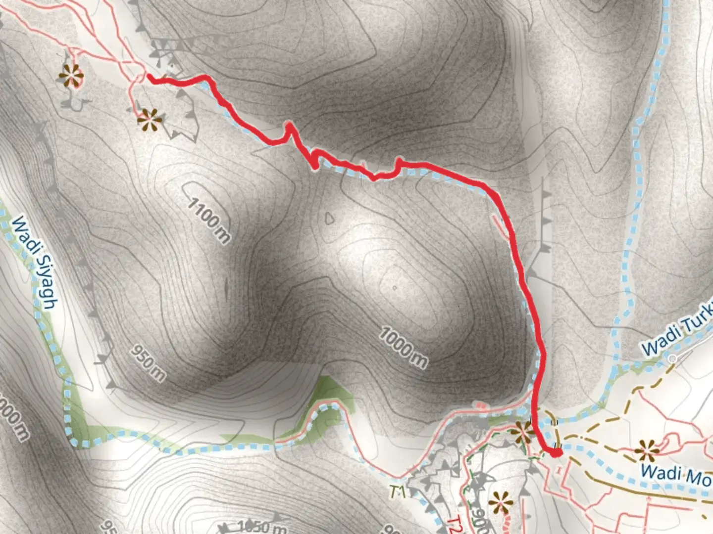 An image depicting the trail Monastery Trail (Ad-Deir Trail) and its surrounding area.