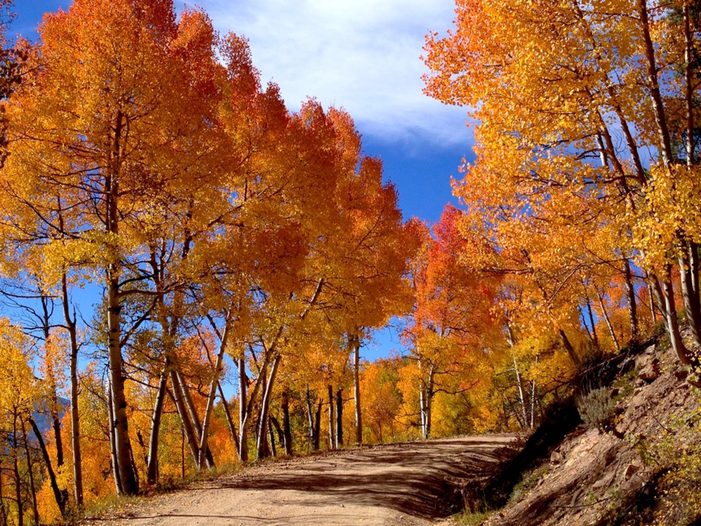 An image depicting the trail Waunita Pass Trail and its surrounding area.