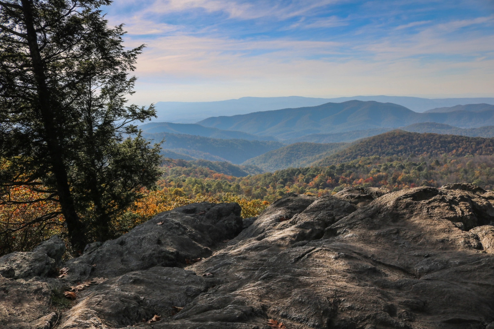 An image depicting the trail Conway River Trail and its surrounding area.