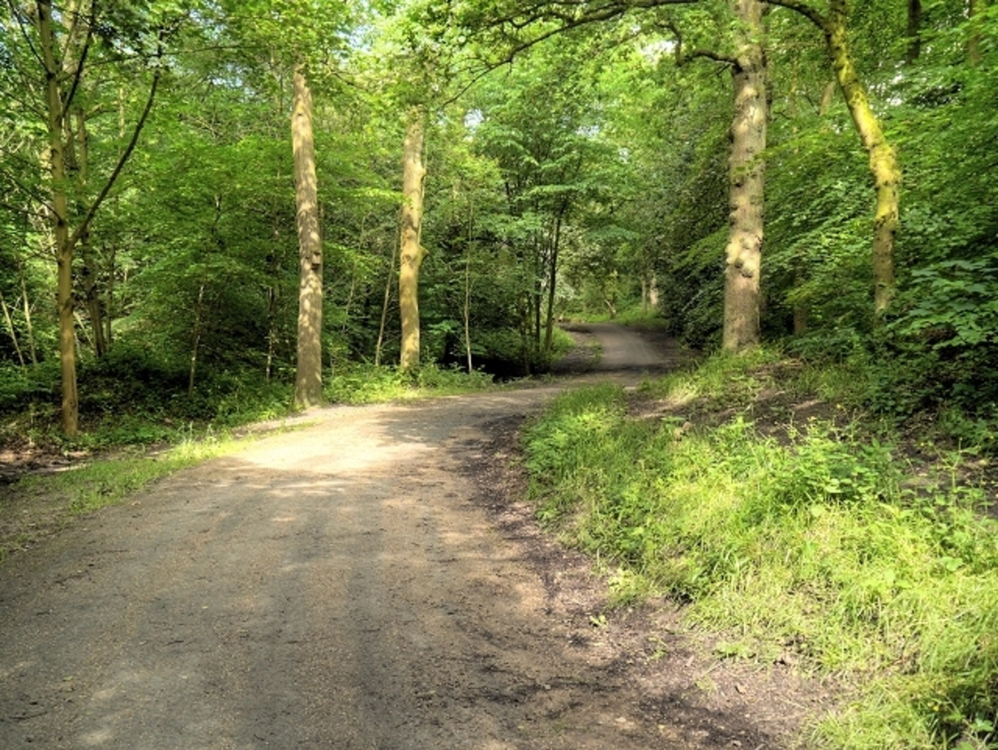 An image depicting the trail Astley Park Loop and its surrounding area.