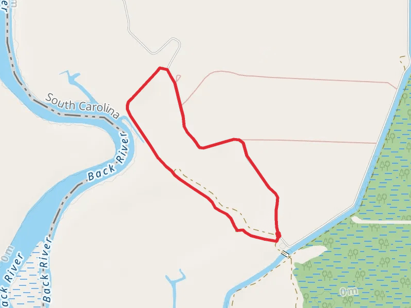 Raccoon Island Trail and Wildlife Drive Loop