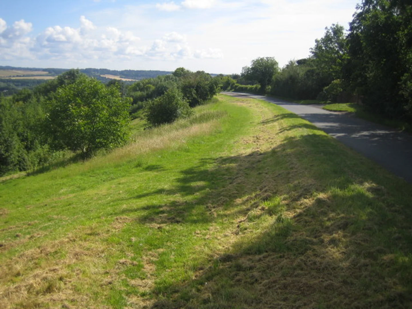An image depicting the trail Winter Hill, Quarry Wood and High Wood Loop and its surrounding area.