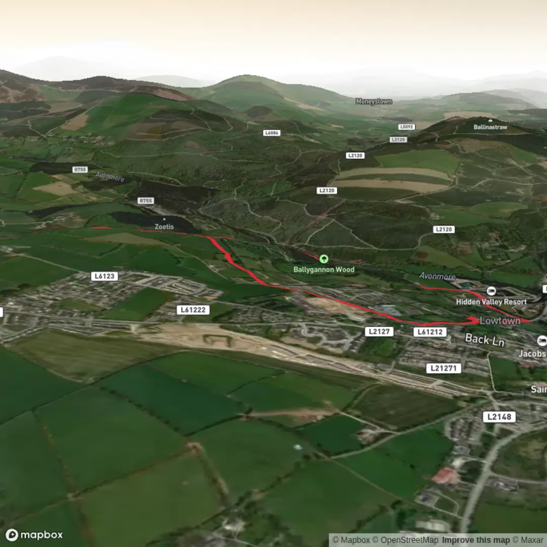 An image depicting the trail jubilee walk rathdrum and its surrounding area.