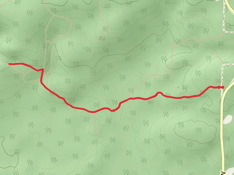 Blue Hills Felsenmeer Trail