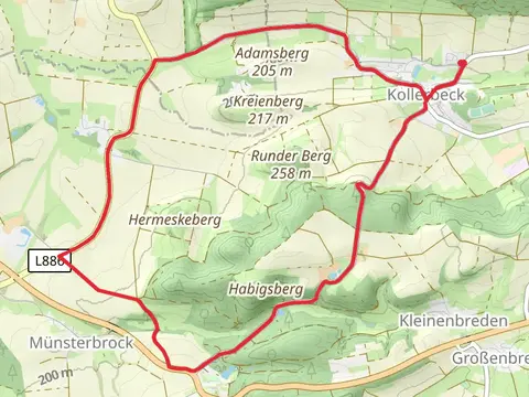 Niesetalweg and Burgensteig Loop