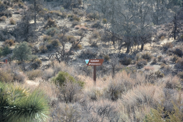 Pacific Crest Trail from Walker Pass Campground