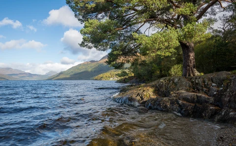 Rowardennan - Ardness Hidden History Trail