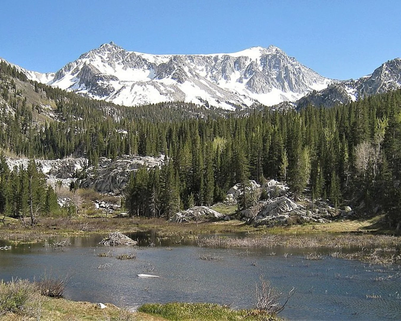 An image depicting the trail Big McGee Lake Trail and its surrounding area.
