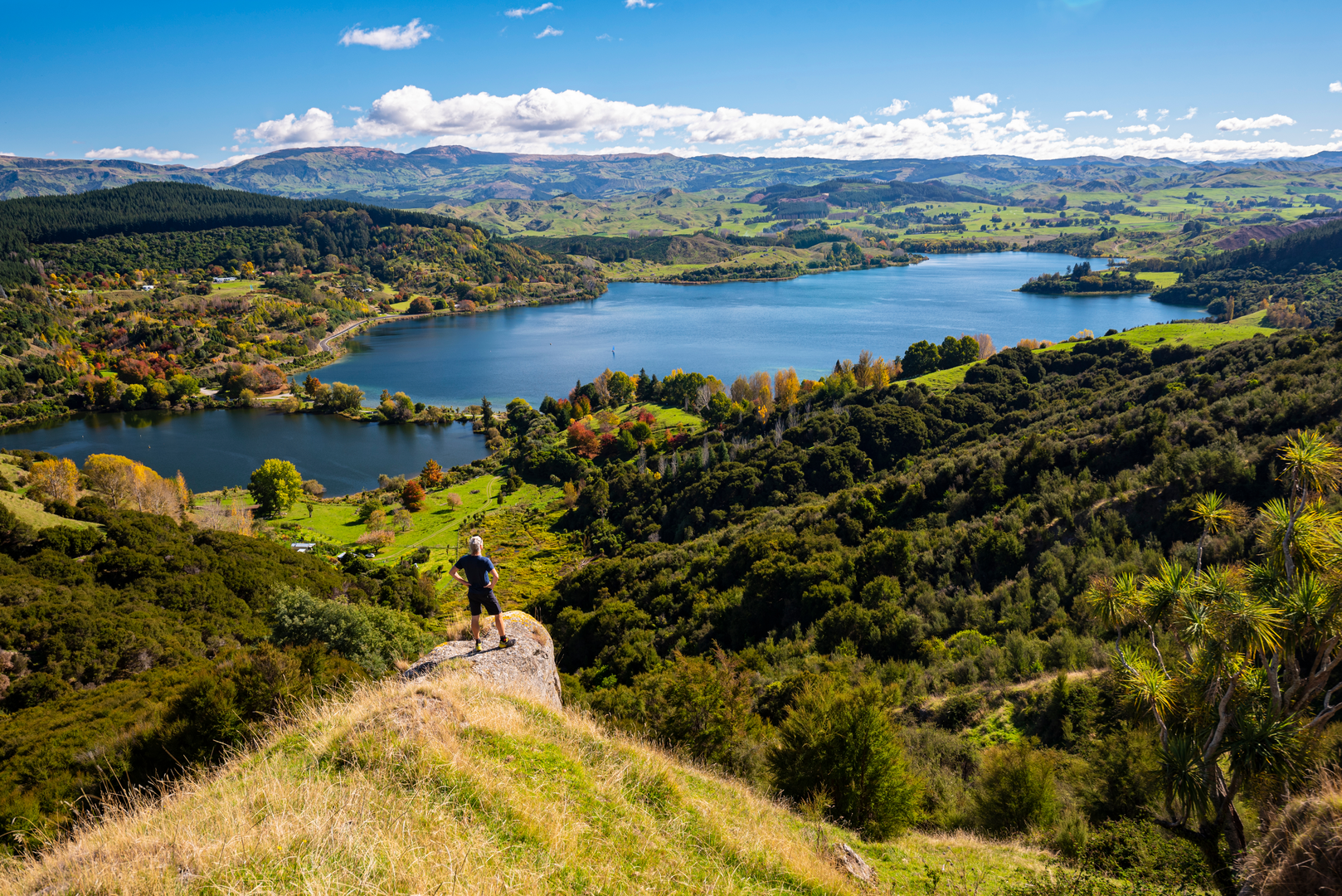 An image depicting the trail Tutira Walkway and its surrounding area.
