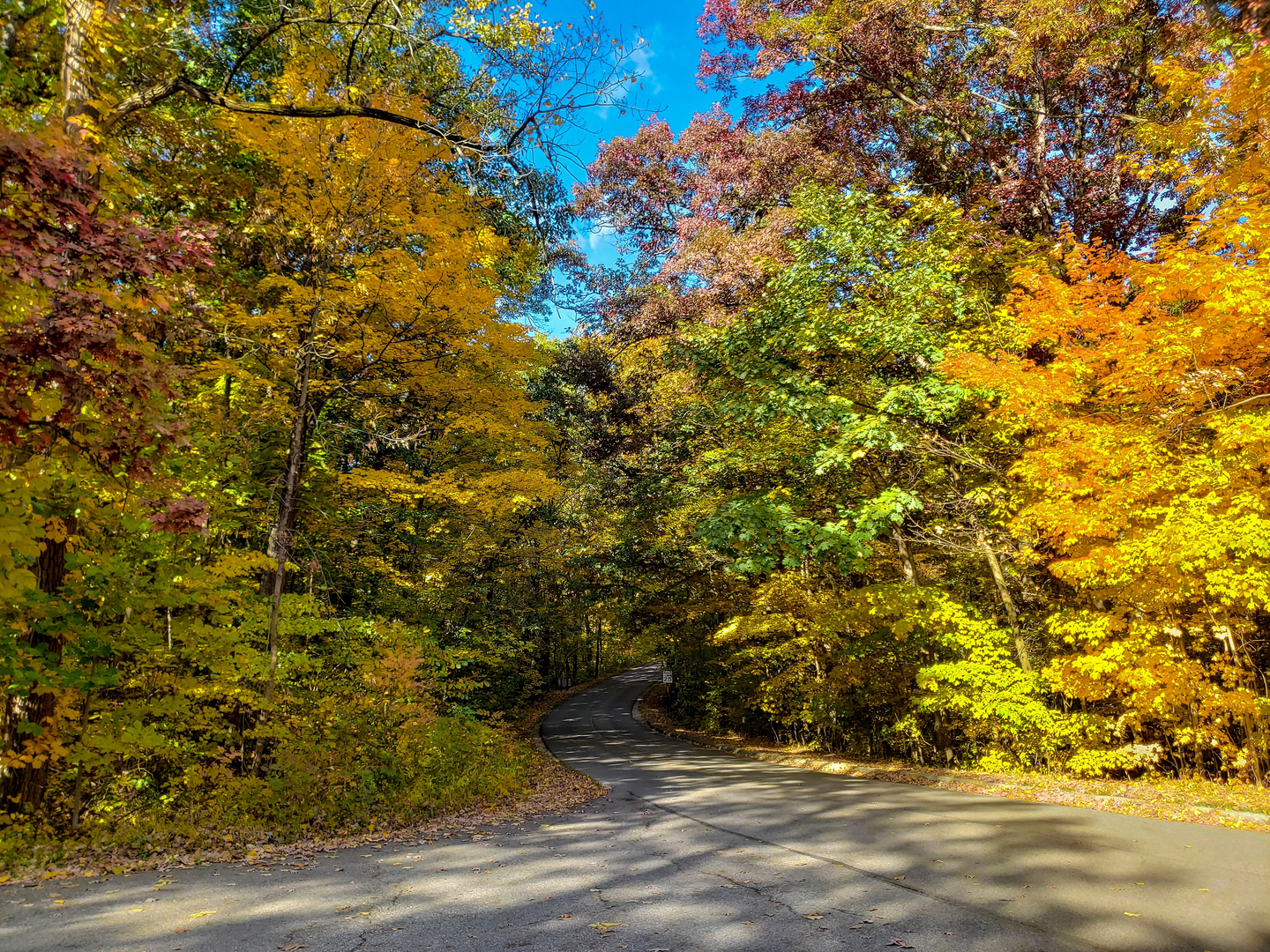 An image depicting the trail Brookside, Ripple Rock and Overlook Loop Trail and its surrounding area.