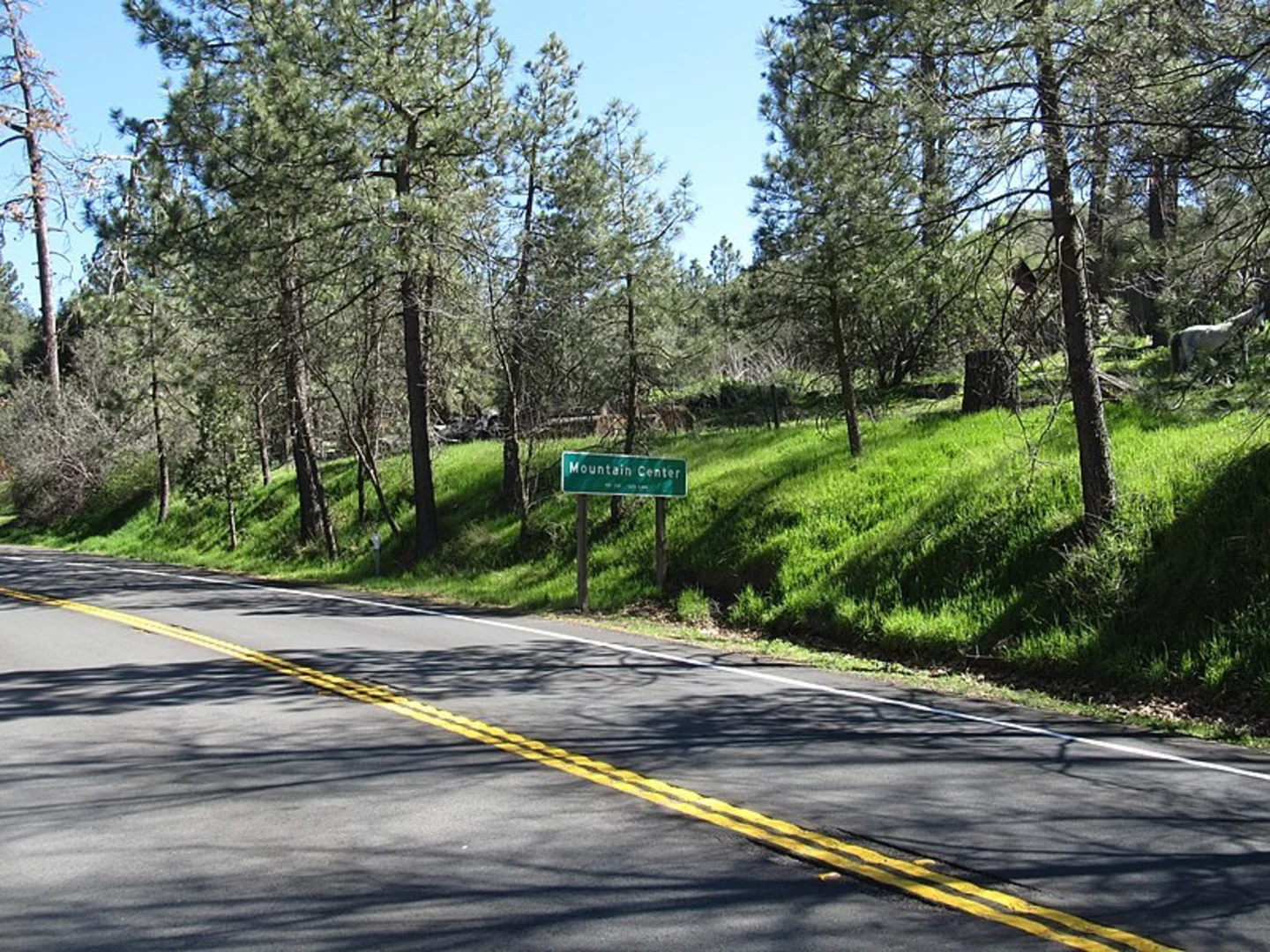 An image depicting the trail Lower South Ridge Trail and its surrounding area.