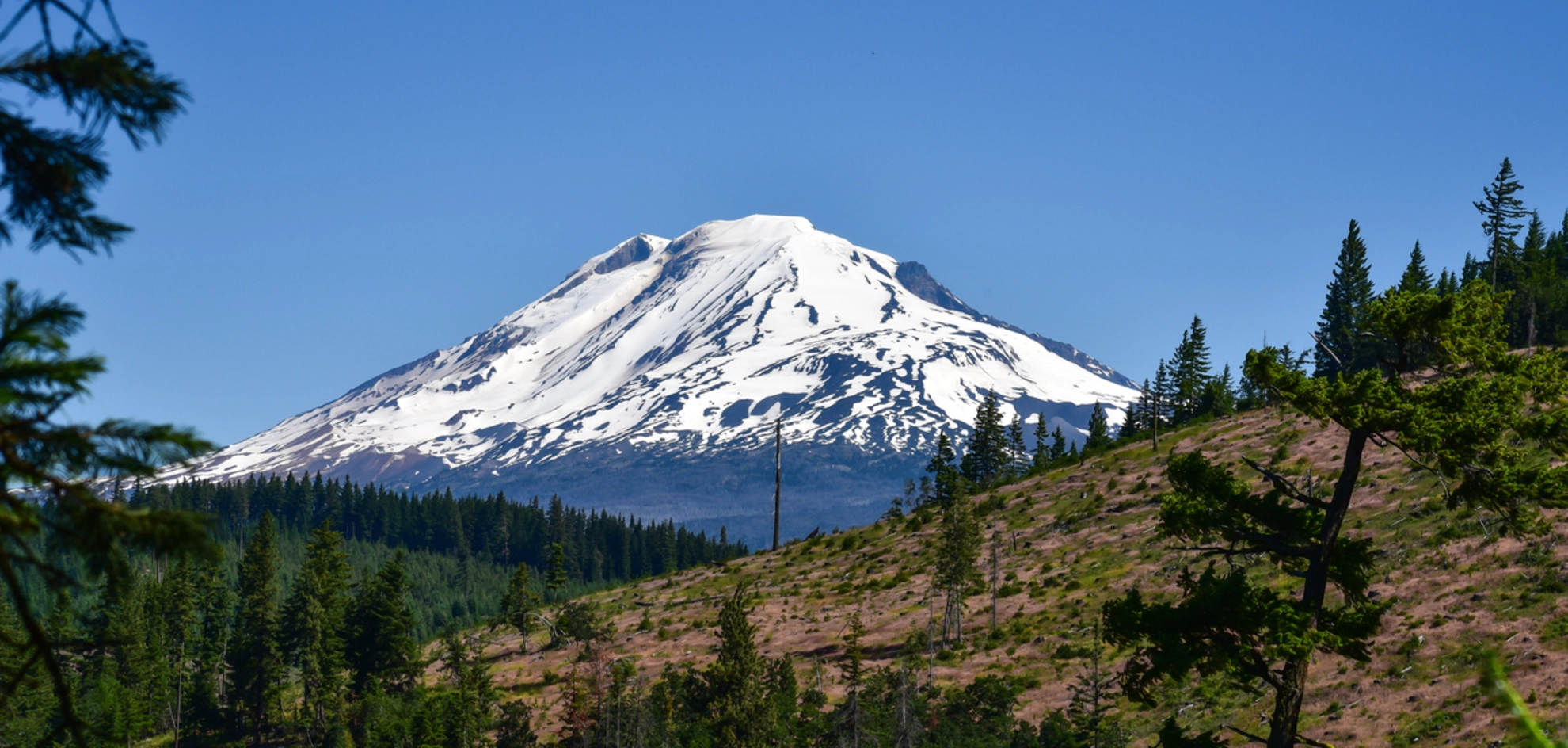 An image depicting the trail Steamboat Lake Trail via Pacific Crest Trail and its surrounding area.
