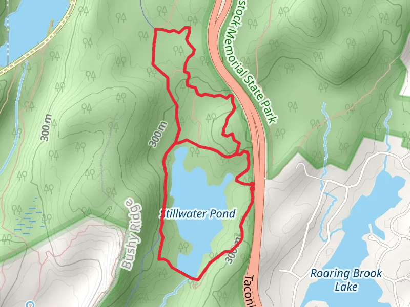 Stillwater Pond Loop