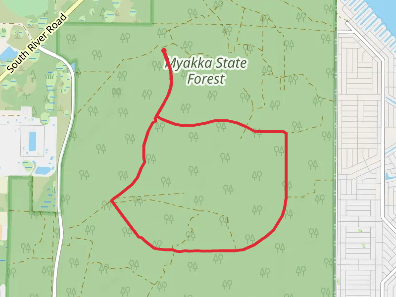 Myakka State Forest Loop