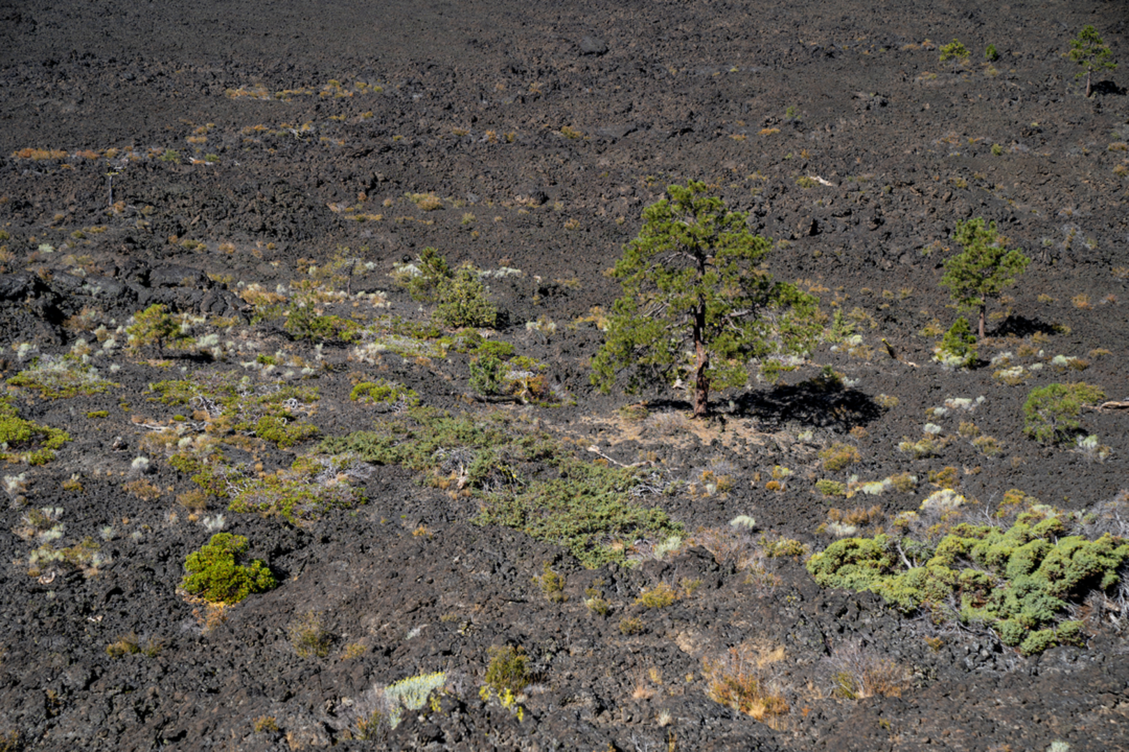 An image depicting the trail Trail of Molten Lands and its surrounding area.