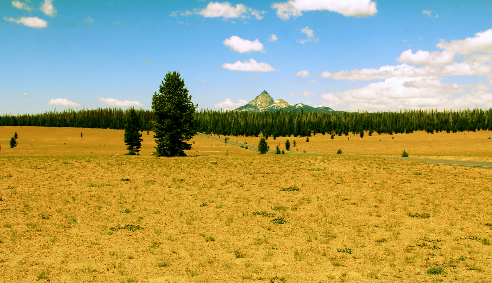 An image depicting the trail American Perimeter Trail - Pacific Northwest Primary and its surrounding area.