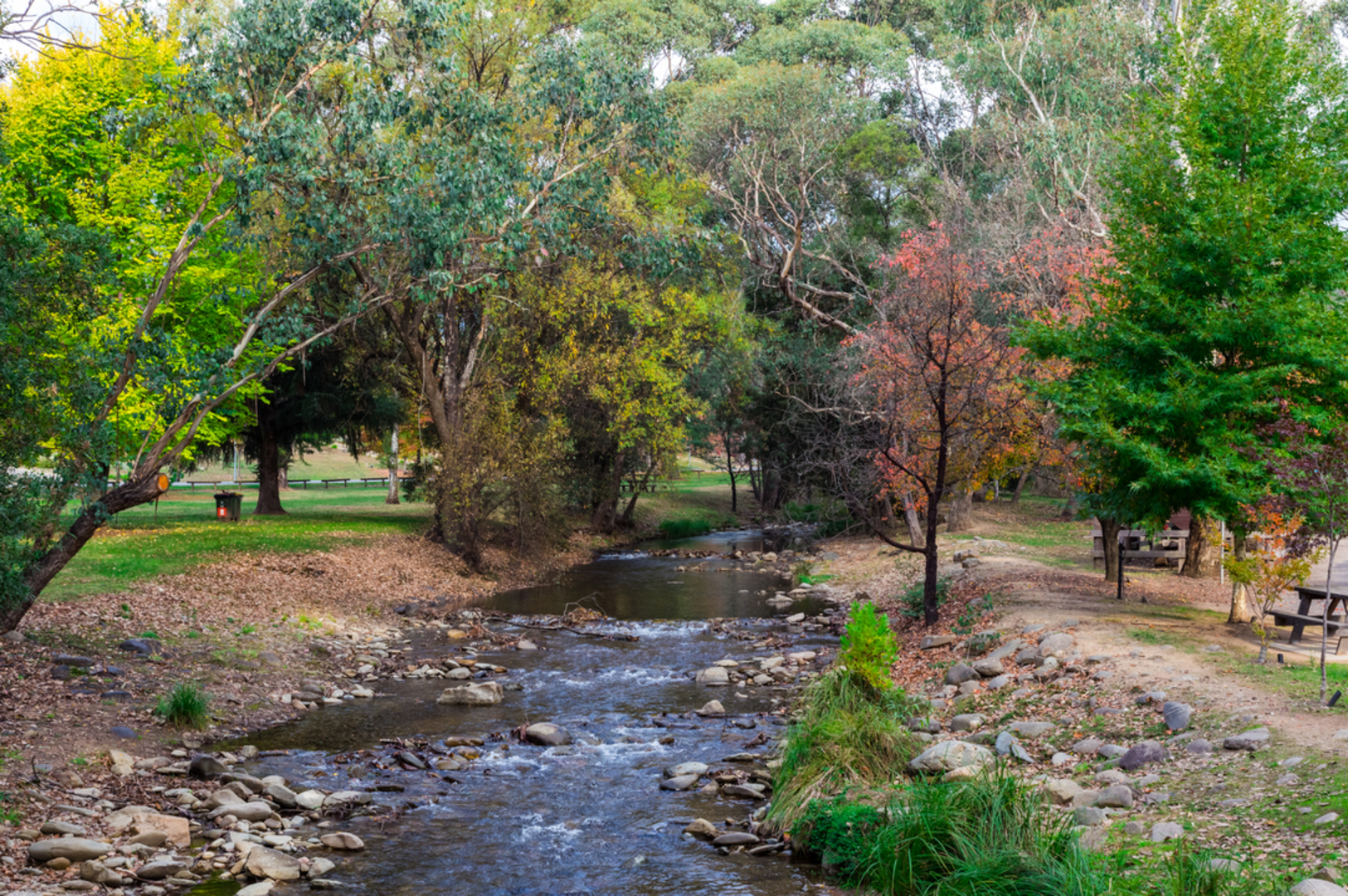 An image depicting the trail East Ovens River Track and its surrounding area.