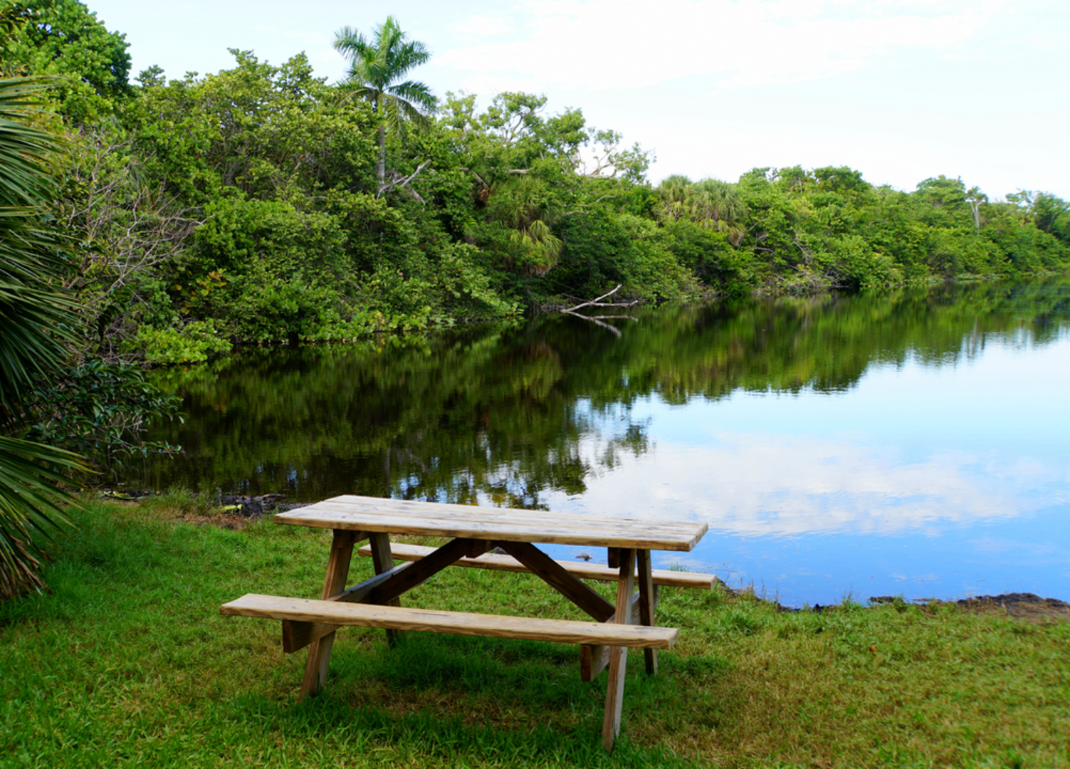 An image depicting the trail Hugh Taylor Birch State Park Loop and its surrounding area.