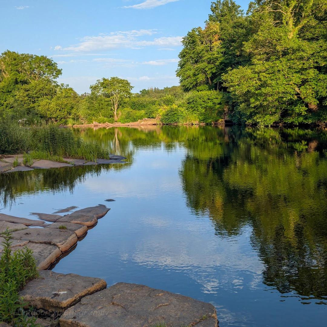 An image depicting the trail Whorlton Riverside short walk and its surrounding area.