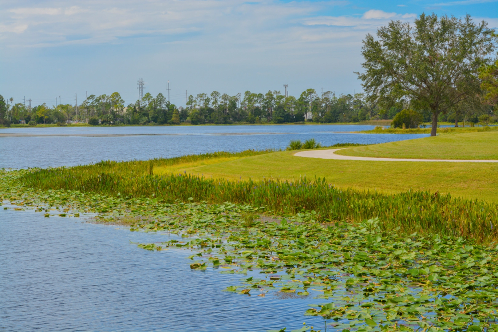 An image depicting the trail Walsingham Park and Reservoir Loop and its surrounding area.
