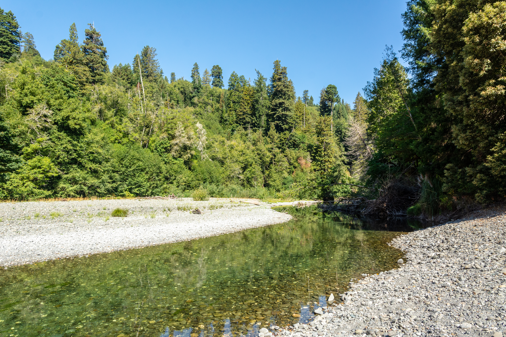 An image depicting the trail Redwood Creek via Redwood Canyon Trail and its surrounding area.