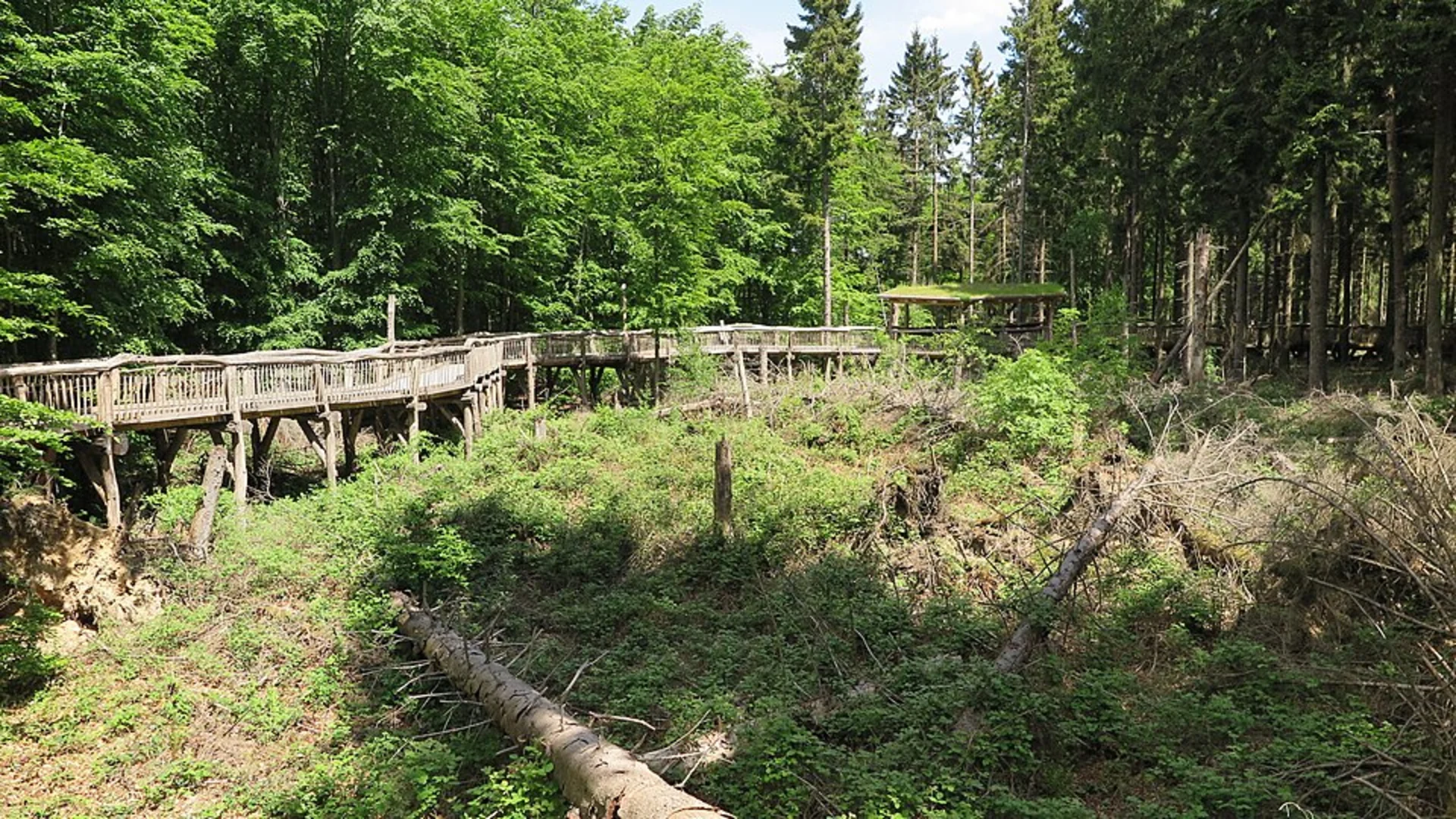 An image depicting the trail Honigberg Loop via Wilder Kermeter and its surrounding area.
