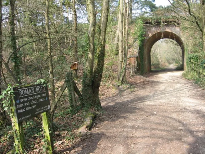 Upton Heath Nature Reserve Walk
