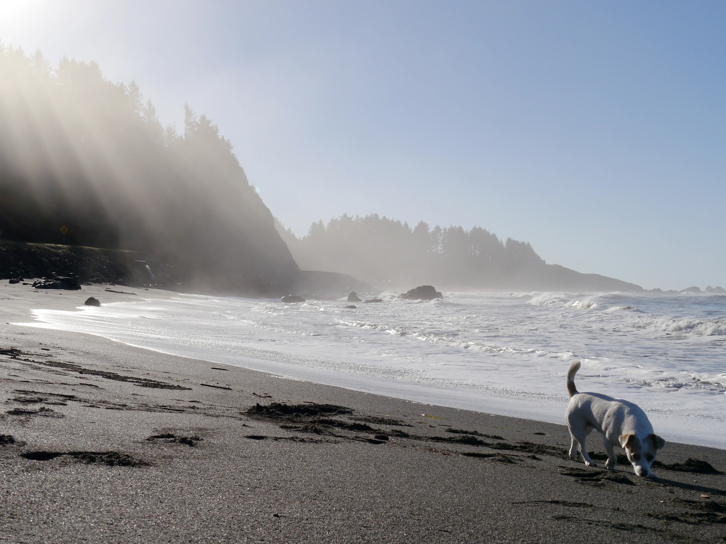 An image depicting the trail Coastal Trail and Yurok Loop Trail and its surrounding area.