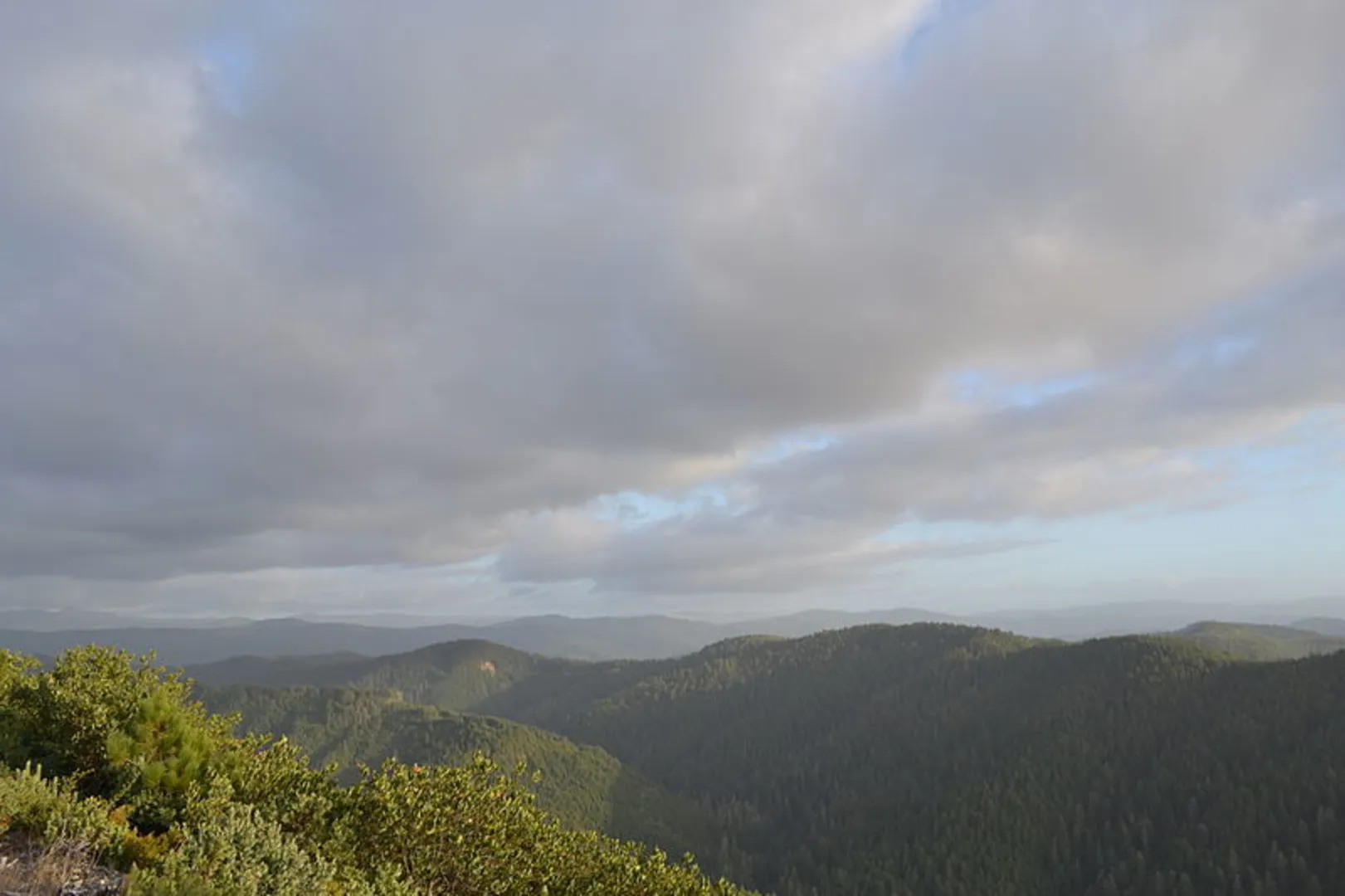 An image depicting the trail Upper Chetco Trail and its surrounding area.