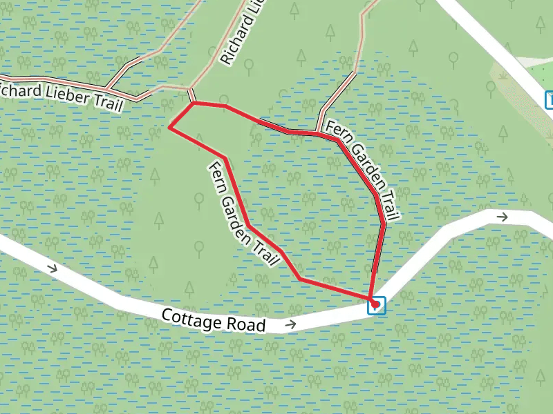 Fern Garden Loop Trail