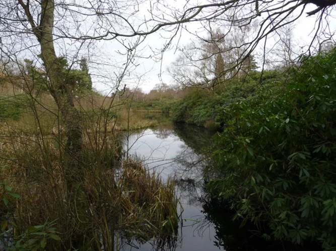 Twigmoor Woods and Gull Ponds Loop