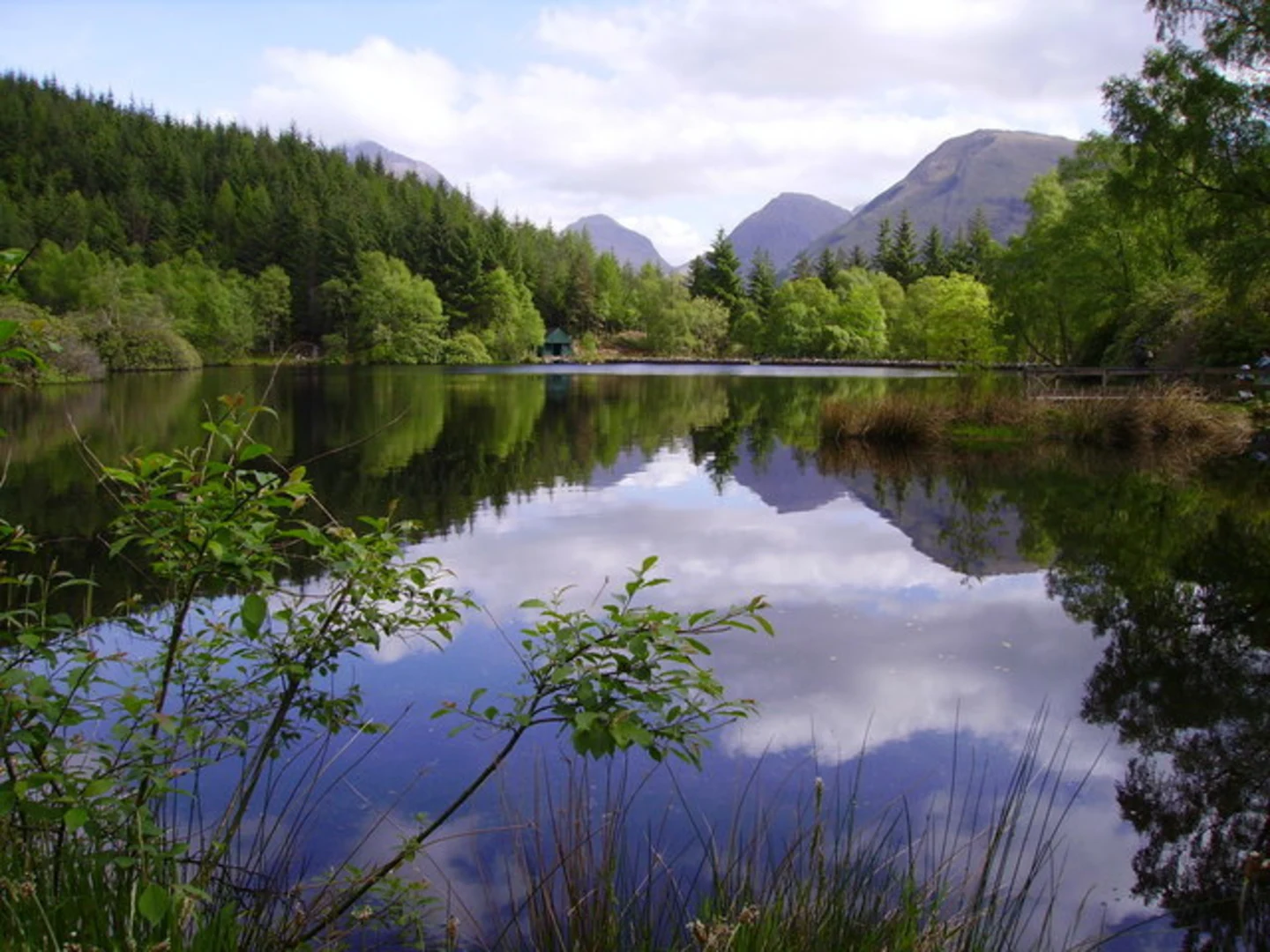 An image depicting the trail Woodland Loop Trail - Glencoe and its surrounding area.