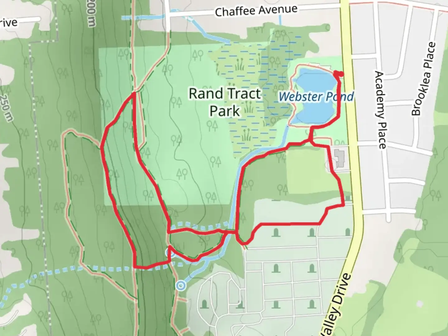 An image depicting the trail Rand Tract Park Loop via Webster Pond and its surrounding area.