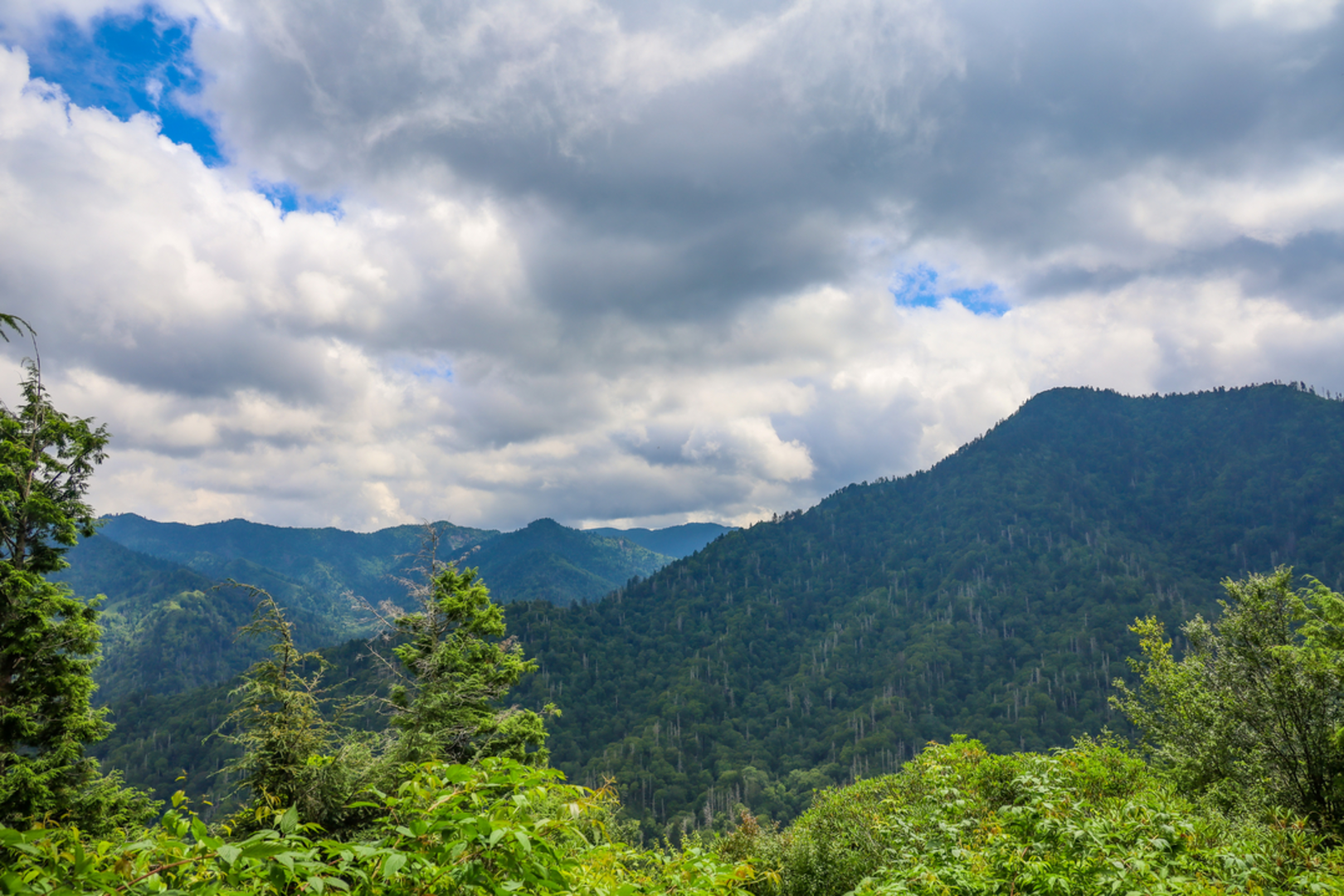 An image depicting the trail Alum Cave - Cliff Top Trail and its surrounding area.
