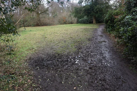 Childwall Woods Loop